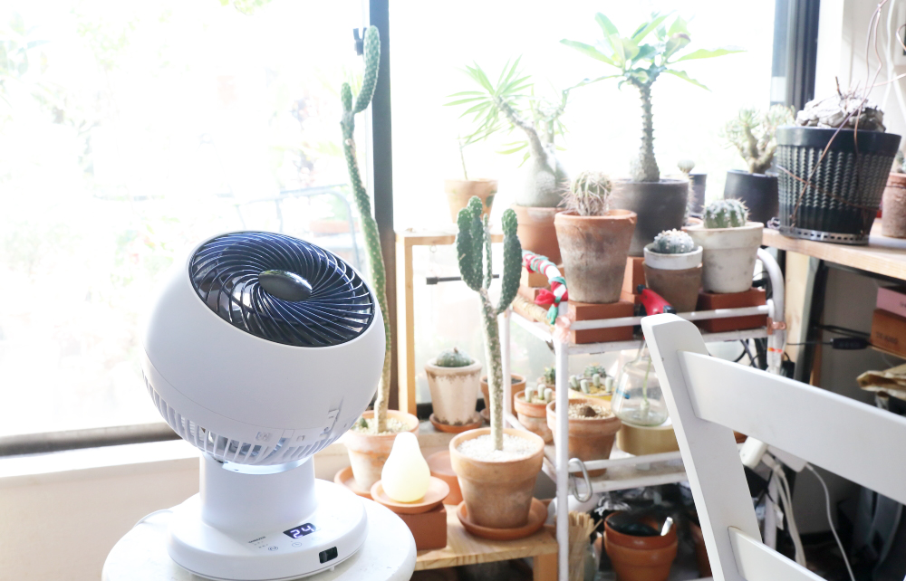 サーキュレーター