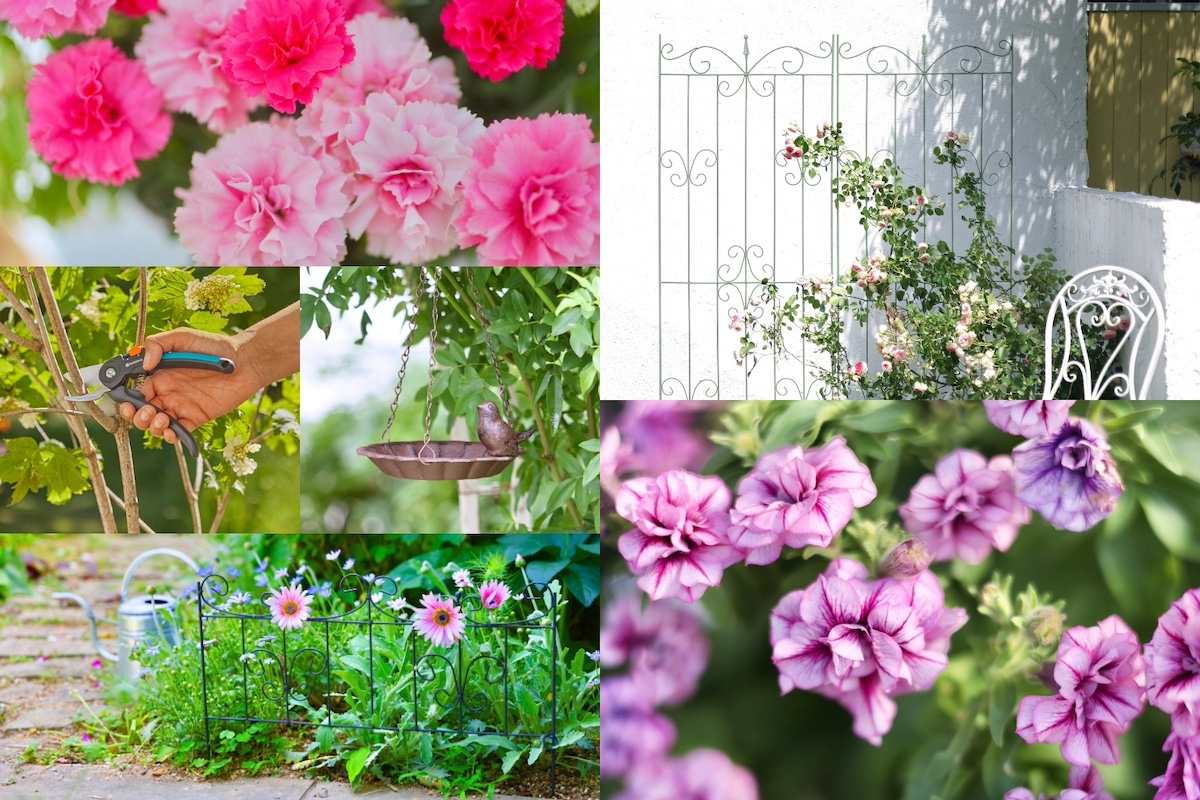 限定価格販売商品も！ 「ガーデンストーリー✕青山ガーデン」ブースの見どころ紹介【横浜フラワー＆ガーデンフェスティバル2026】