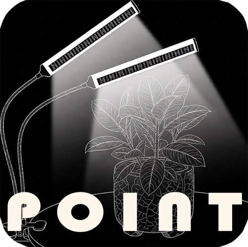 ポイント