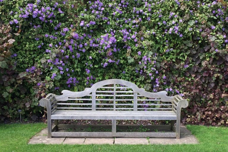 【世界の名園クイズ】このベンチ、どこの庭？ ヒントは「かつて牢獄にもなった場所」