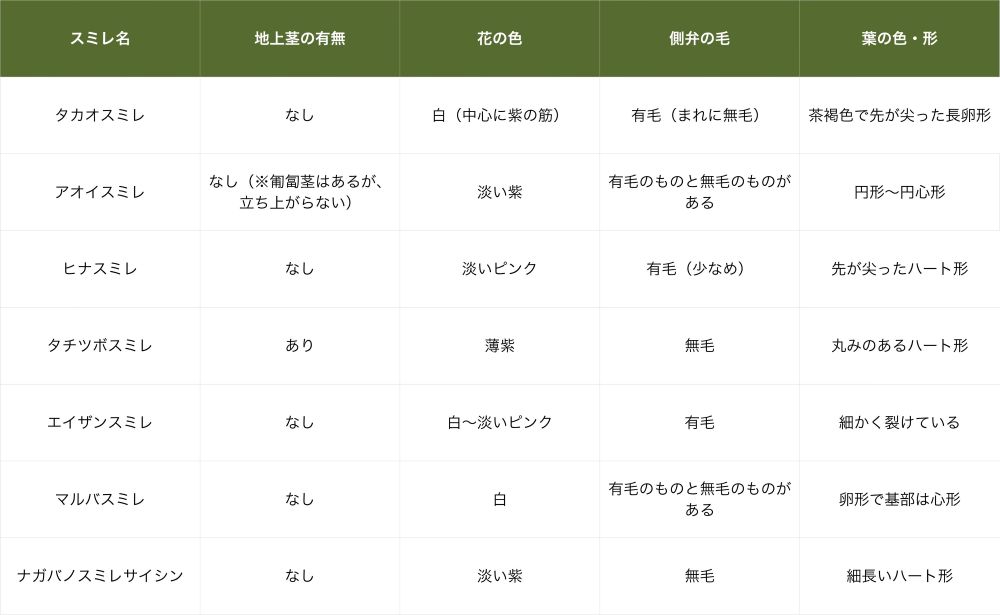 スミレの簡易見分け表