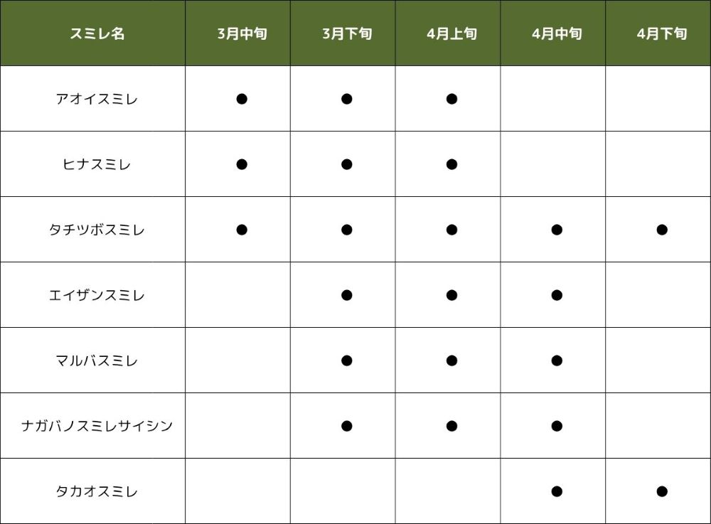 高尾山のスミレ 開花の目安カレンダー