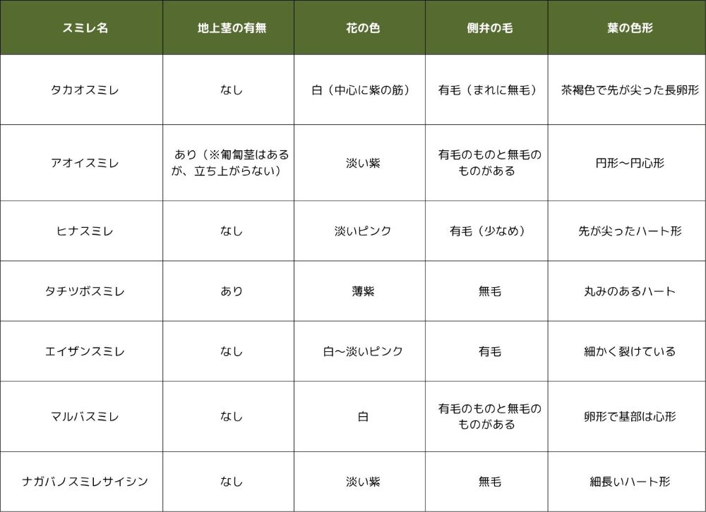 スミレ簡易見分け表