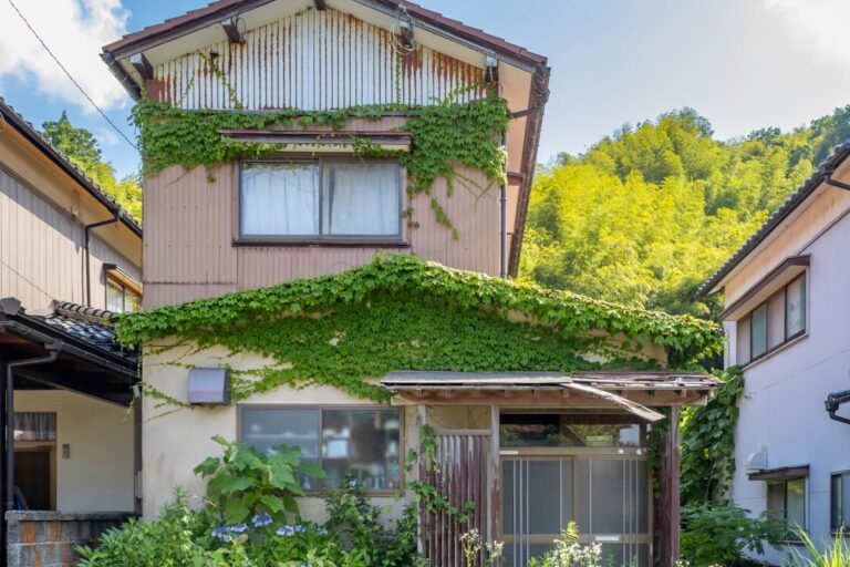実家や空き家、生え放題の雑草は“不在のサイン”に? 空き家管理で見落とせない防犯対策