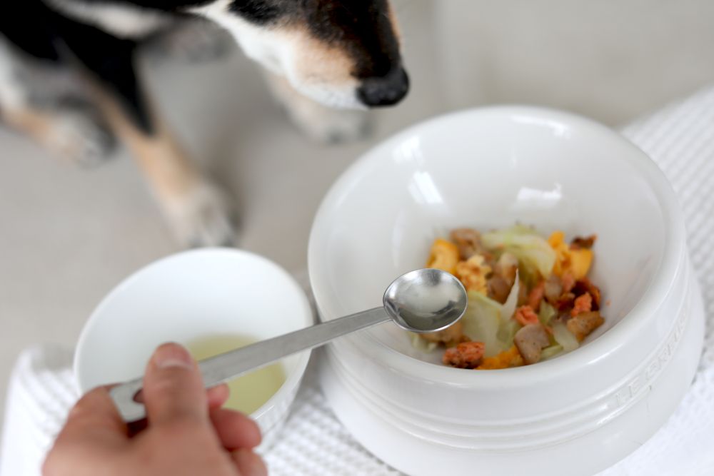 愛犬の食事に