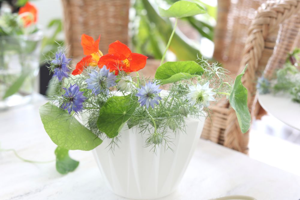 ナスタチウムの花を入れる