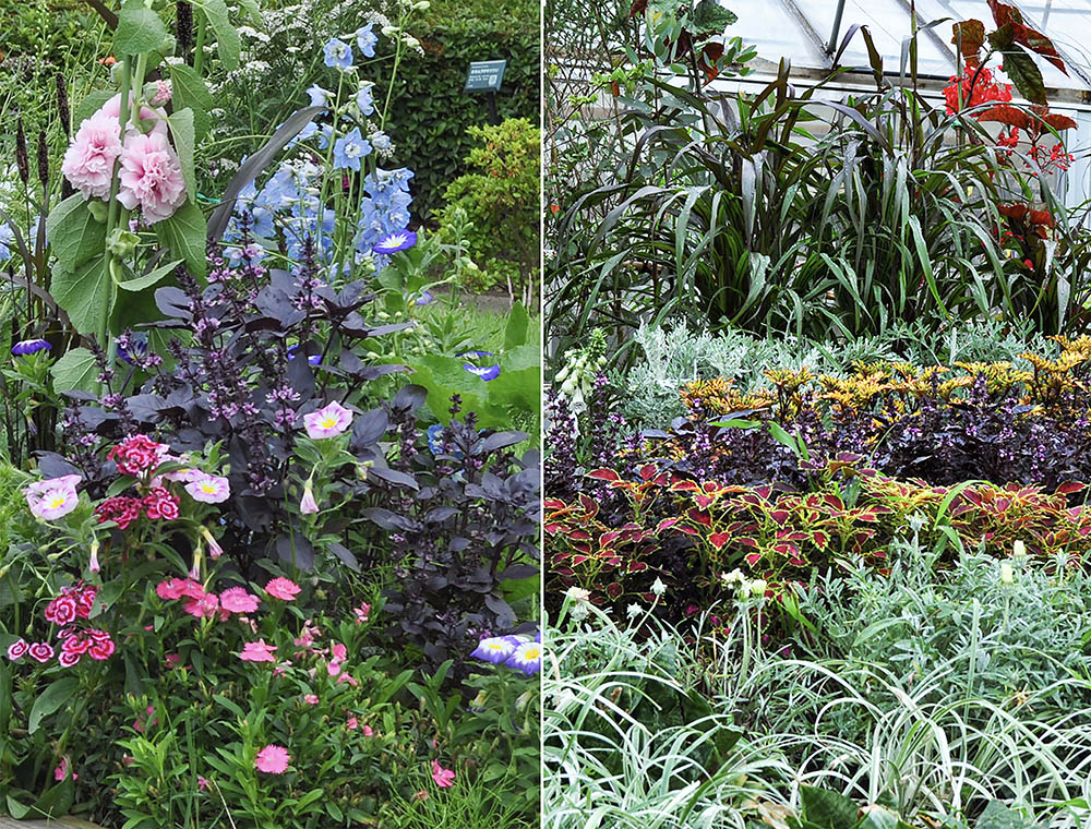 カラーリーフの花壇