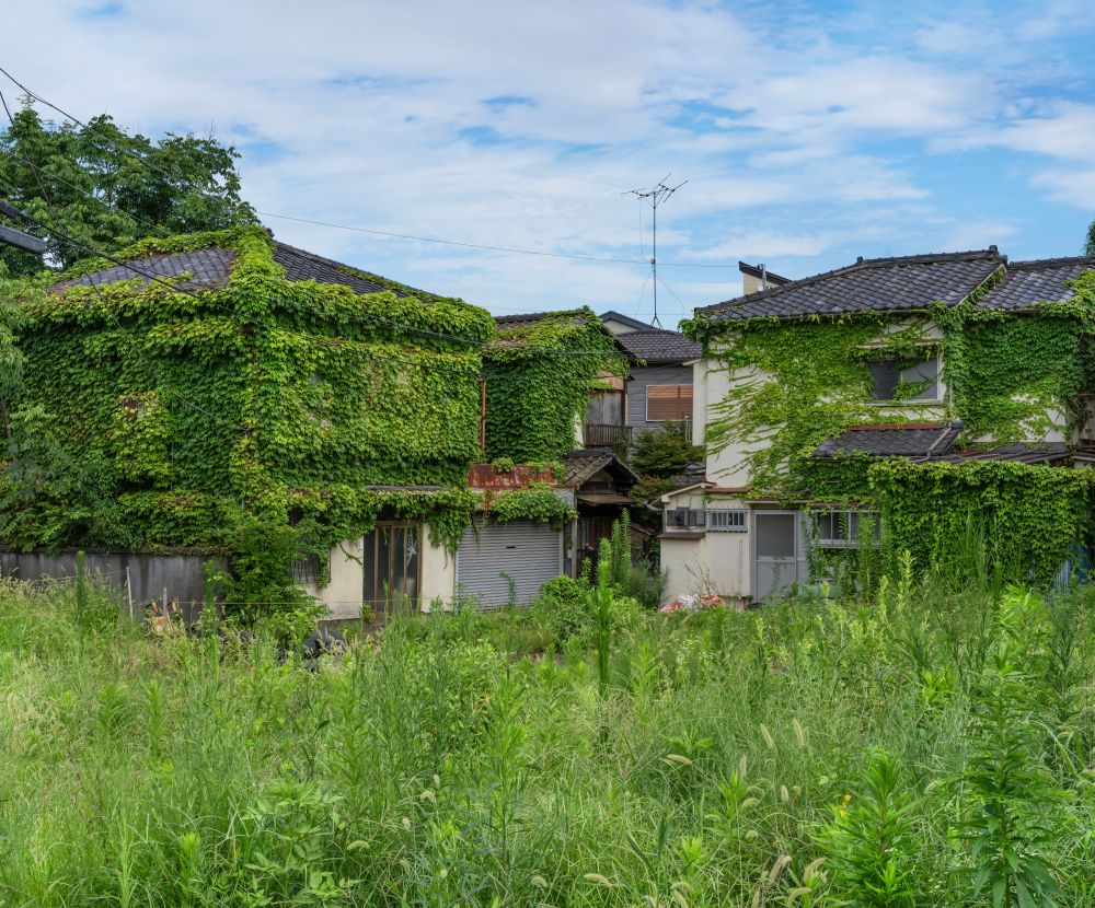 空き家の雑草