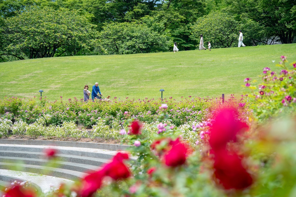 Gunma Flower Park＋「ROSE WEEK」