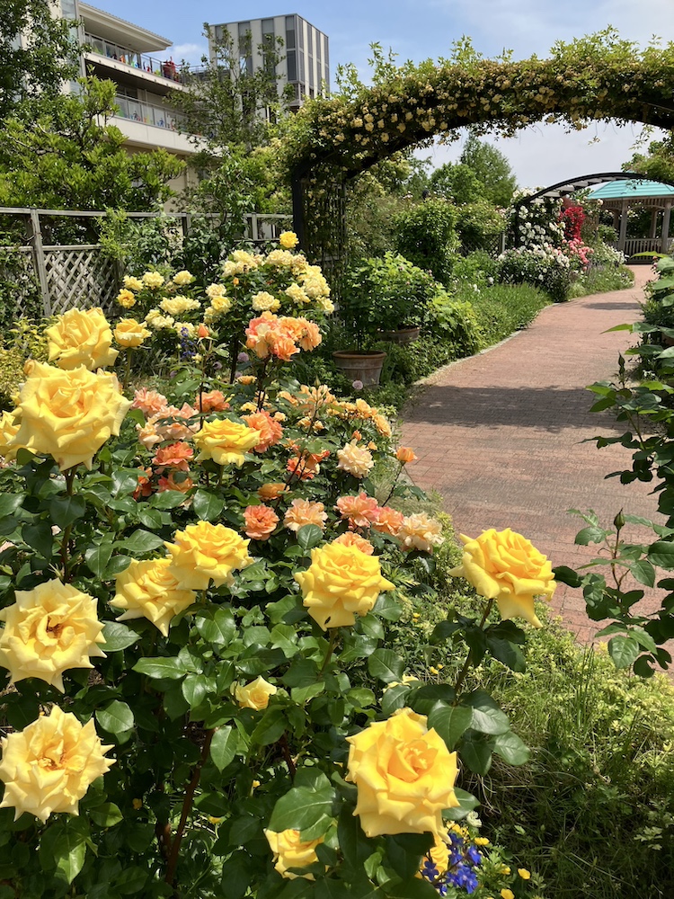 いくとぴあ食花「春のばらまつり」