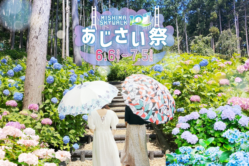 三島スカイウォーク「あじさい祭」