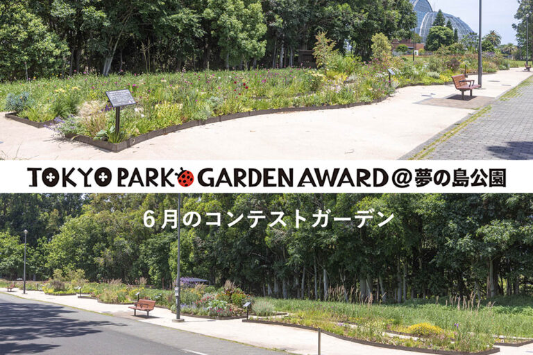 【成長が進む6月】宿根草等を使用する都立公園の花壇コンテスト「第4回 東京パークガーデンアワード」夢の島公園
