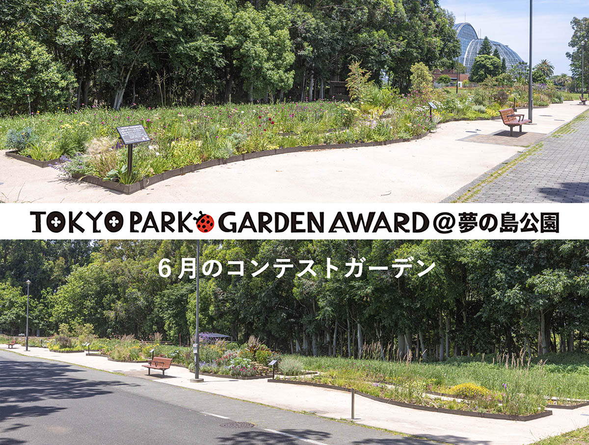 【成長が進む6月】宿根草等を使用する都立公園の花壇コンテスト「第4回 東京パークガーデンアワード」夢の島公園