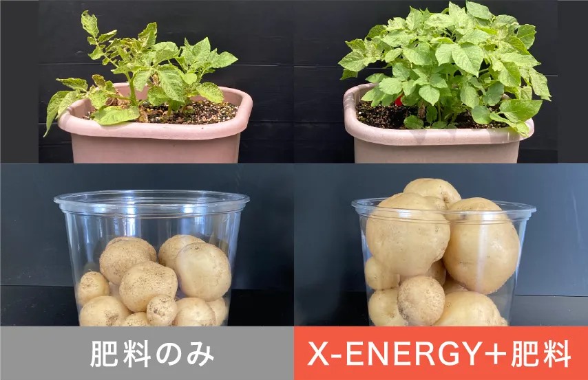X-ENERGY