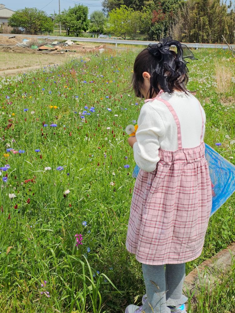 花摘み