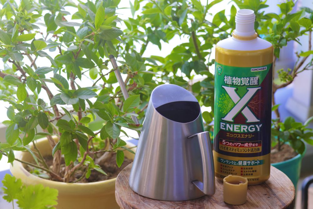 X-ENERGY