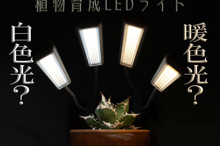 白色ライトだけが正解？ 育成ライトのプロに聞く、植物も暮らしも心地よい“暖色光”という選択肢