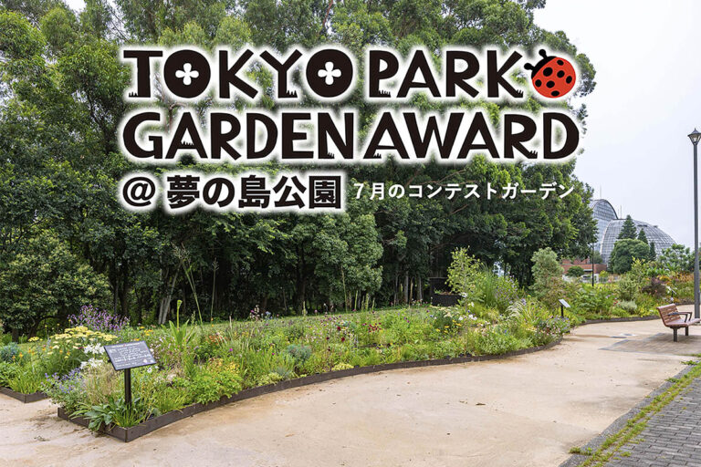 【夏花が彩る7月】宿根草等を使用する都立公園の花壇コンテスト「第4回 東京パークガーデンアワード」夢の島公園