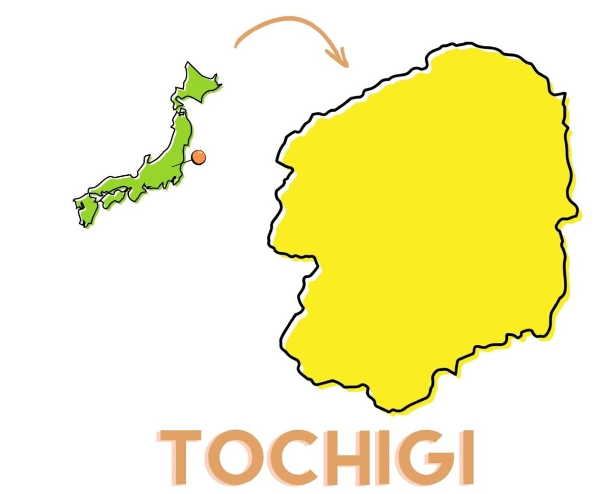 「都道府県の花」3択クイズ！ 栃木県の花は次のうちどれ？【Let’s Try! 植物クイズ】