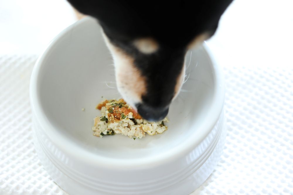 シソと豆腐のもっちりチヂミ風