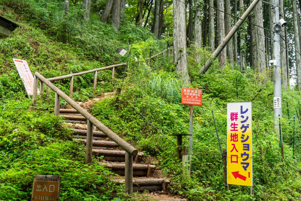 御岳山