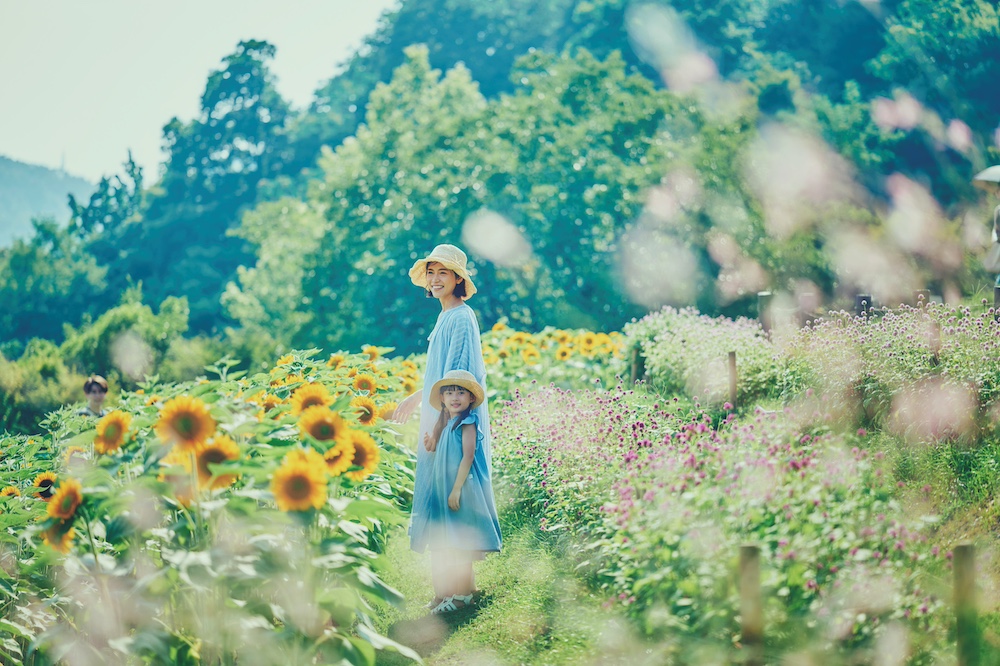 神戸布引ハーブ園「きっと忘れない夏GARDEN FEST 2026-Summer-」