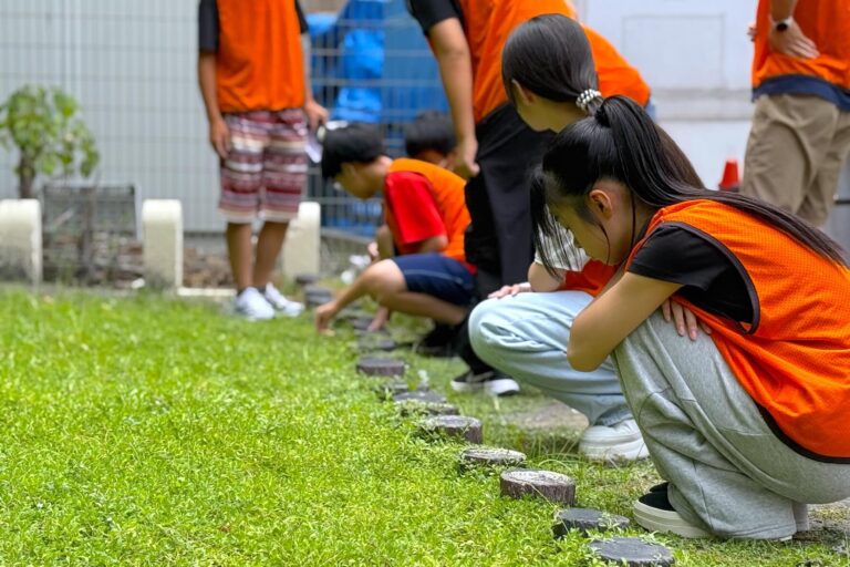 子どもと若者が育てた、小さな緑のじゅうたん 公園はどう変わり始めたのか