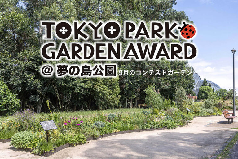 【秋到来を知らせる9月】宿根草等を使用する都立公園の花壇コンテスト「第4回 東京パークガーデンアワード」夢の島公園