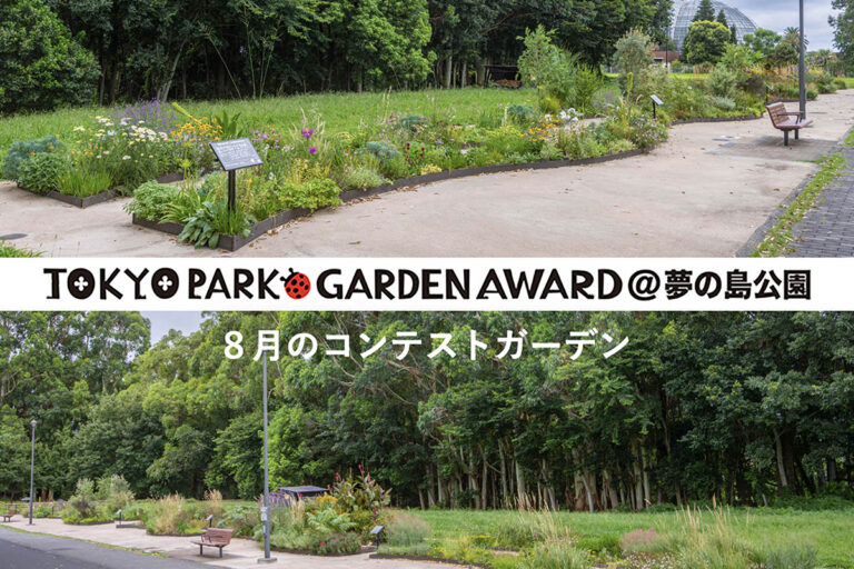 【盛夏の花咲く8月】宿根草等を使用する都立公園の花壇コンテスト「第4回 東京パークガーデンアワード」夢の島公園
