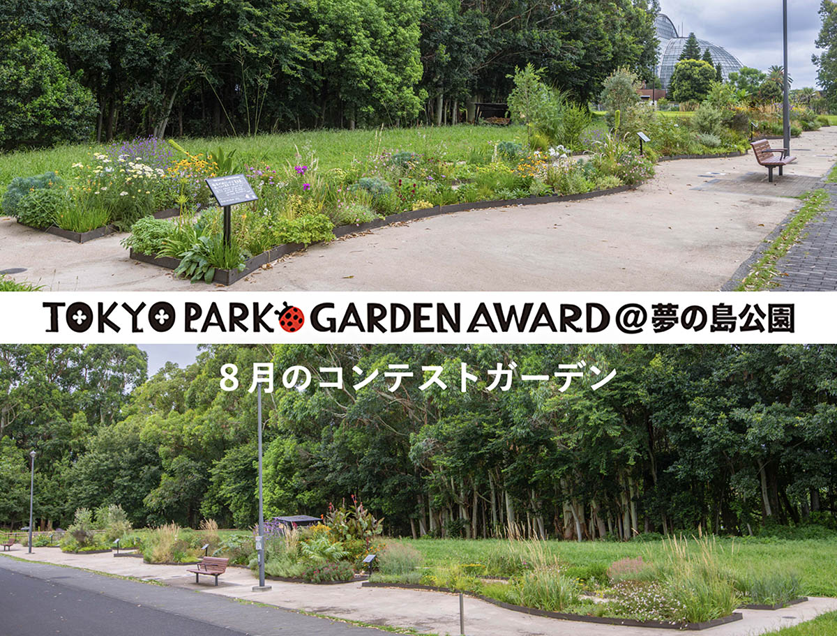 【盛夏の花咲く8月】宿根草等を使用する都立公園の花壇コンテスト「第4回 東京パークガーデンアワード」夢の島公園