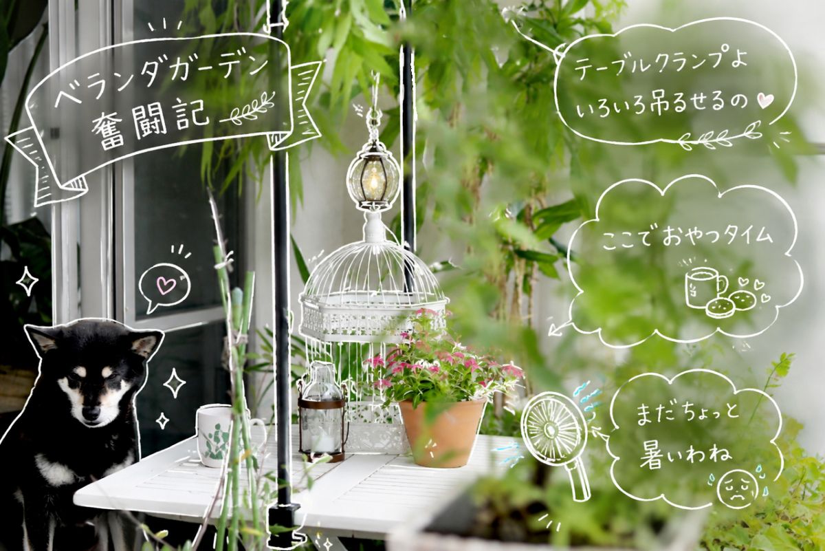 庭じまいから始まる物語。テーブルクランプで広がる12階ベランダの新しい楽しみ方