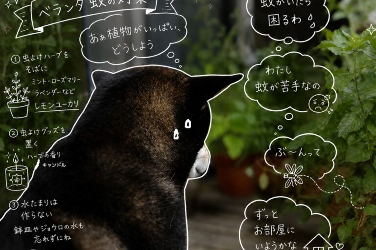 殺虫剤は使いたくない！ 夏のベランダを安全に楽しむナチュラル虫よけ＆ハーブ選び