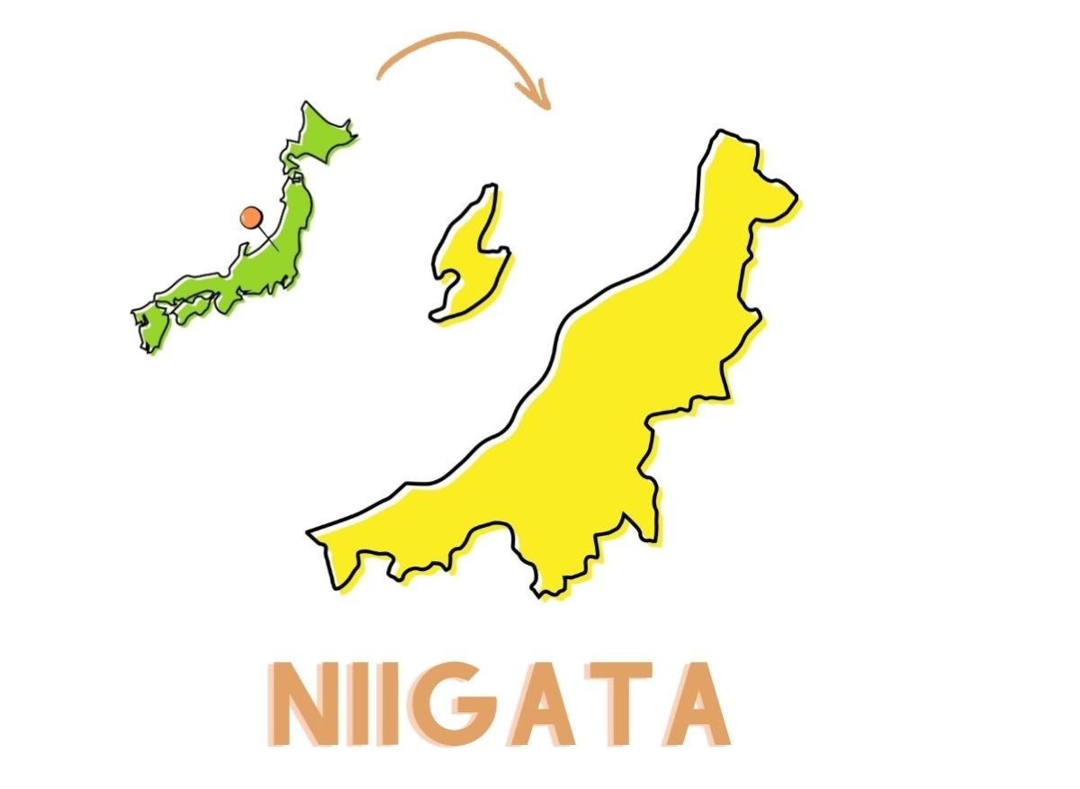 「都道府県の花」3択クイズ！ 新潟県の花は次のうちどれ？【Let’s Try! 植物クイズ】