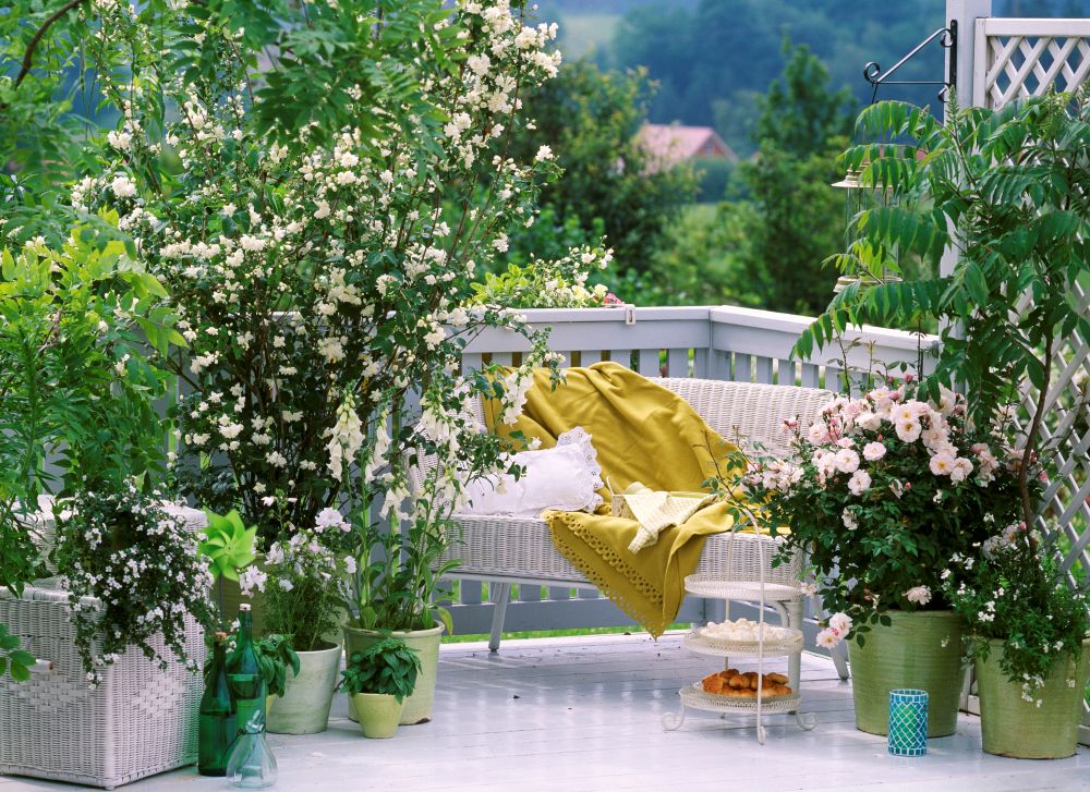 屋上庭園
