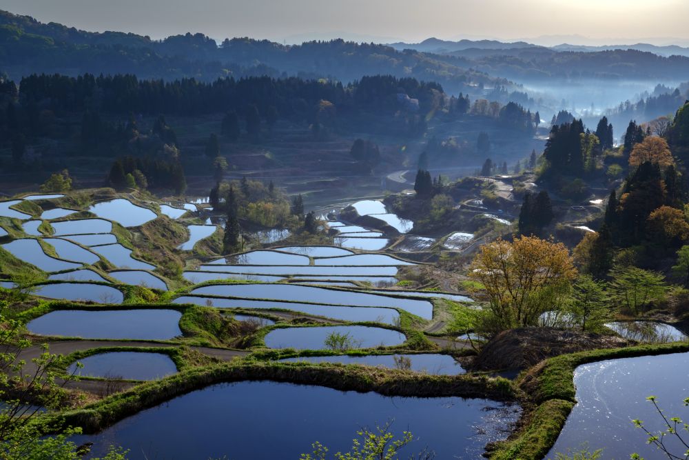 新潟県
