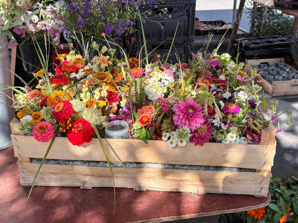 野の花のブーケ