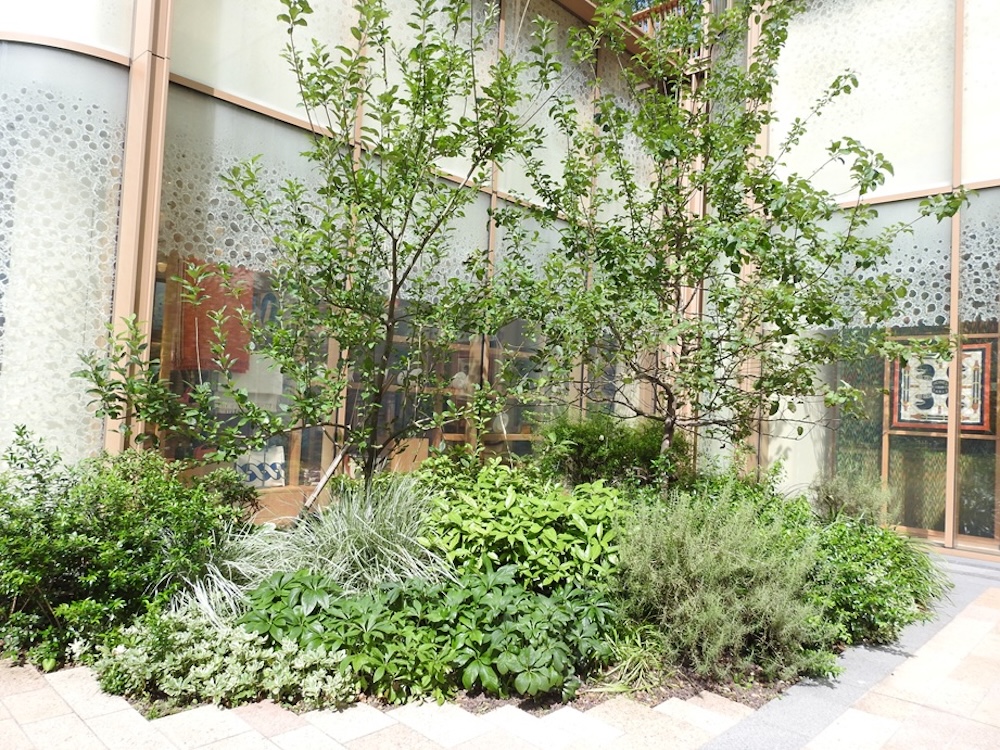 ガーデニングの参考になる“埋め”の植栽をチェック