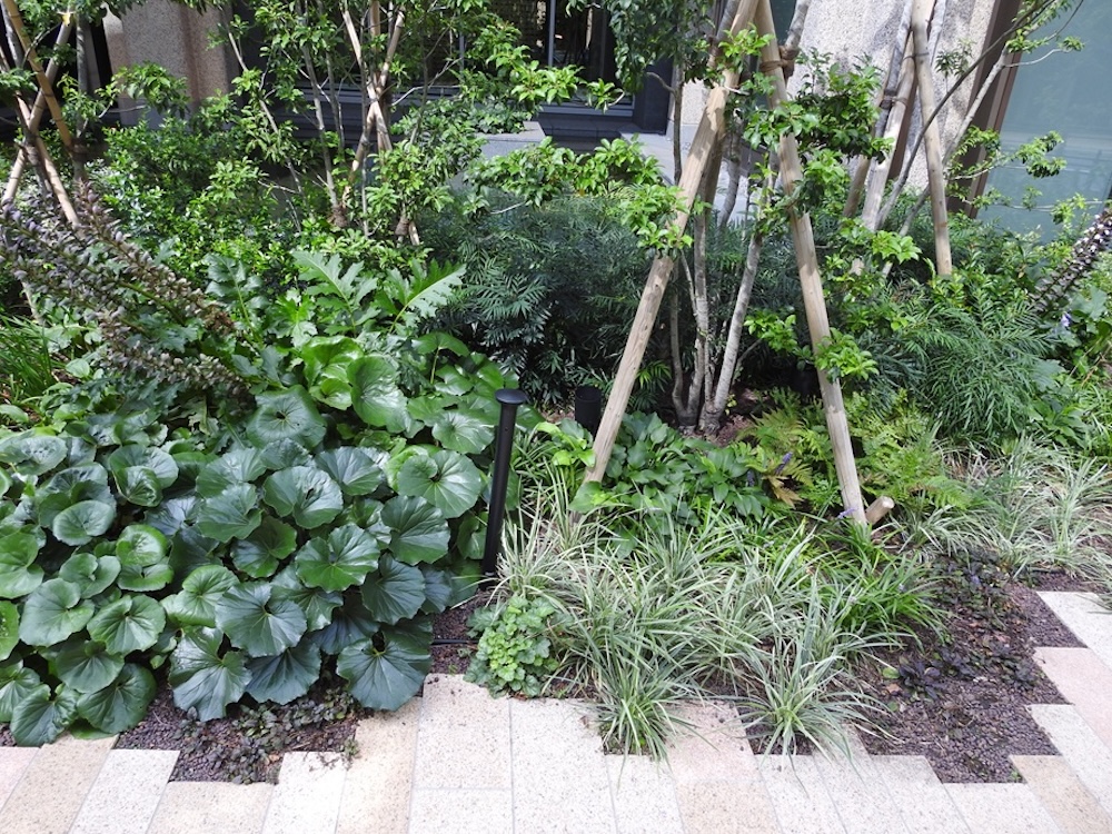 同じ“緑の葉”というカテゴリでも、色の濃淡や形の異なるものをブロック分けして植え込むことでお洒落な植栽デザインに。