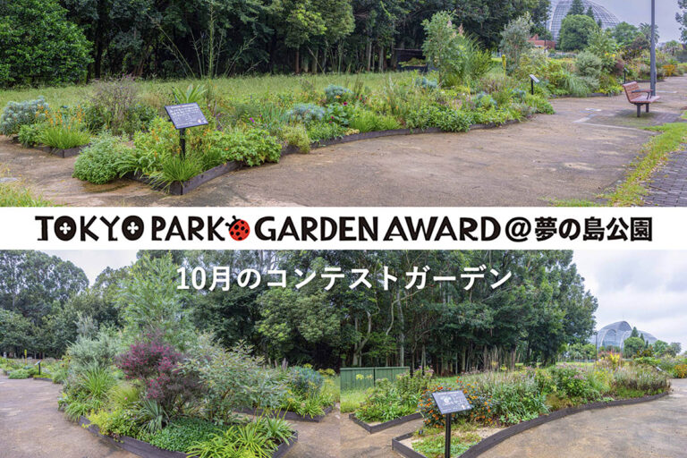 【秋深まる10月】宿根草等を使用する都立公園の花壇コンテスト「第4回 東京パークガーデンアワード」夢の島公園