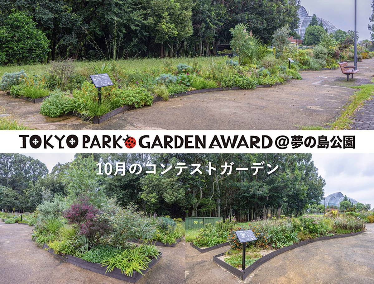 【秋深まる10月】宿根草等を使用する都立公園の花壇コンテスト「第4回 東京パークガーデンアワード」夢の島公園