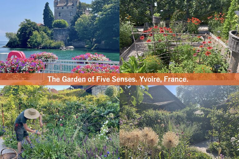 【夏の癒やし旅】フランスの美しい石壁に囲まれた「五感の庭」で多様な1,500種の植物に触れる