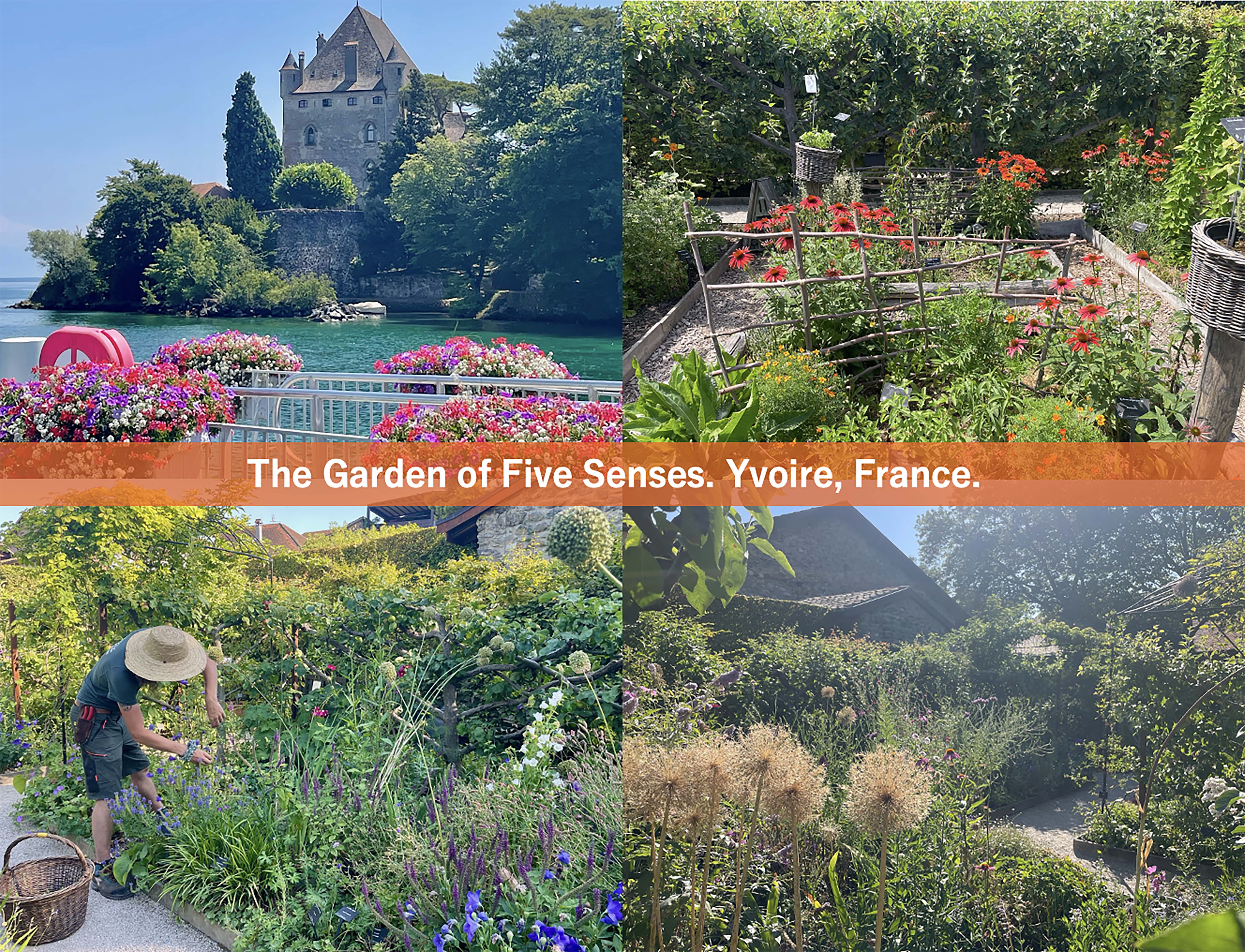【夏の癒やし旅】フランスの美しい石壁に囲まれた「五感の庭」で多様な1,500種の植物に触れる