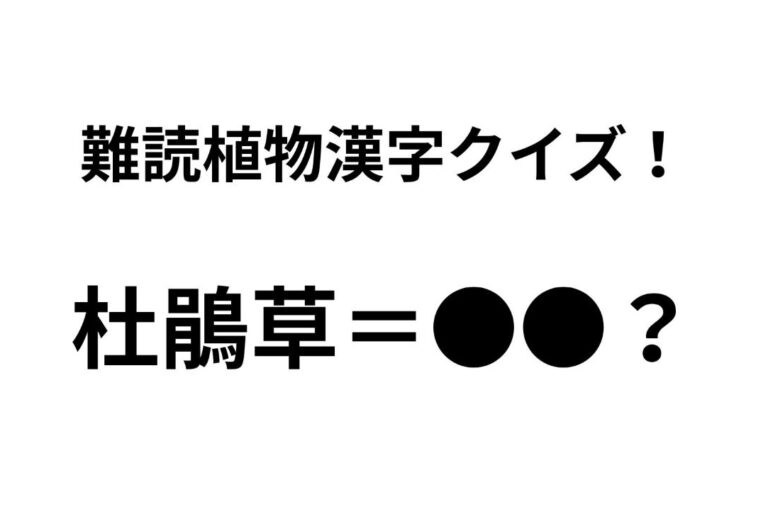 「杜鵑草」ってどんな花？ 正解できたらすごい難読植物名漢字クイズ