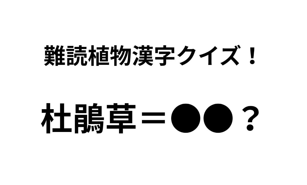 「杜鵑草」ってどんな花？ 正解できたらすごい難読植物名漢字クイズ