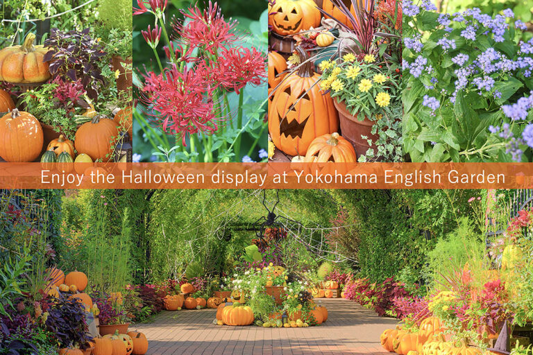 【秋の庭散策】ハロウィン装飾が満載！ フォトジェニックな英国式庭園「横浜イングリッシュガーデン」に出かけよう