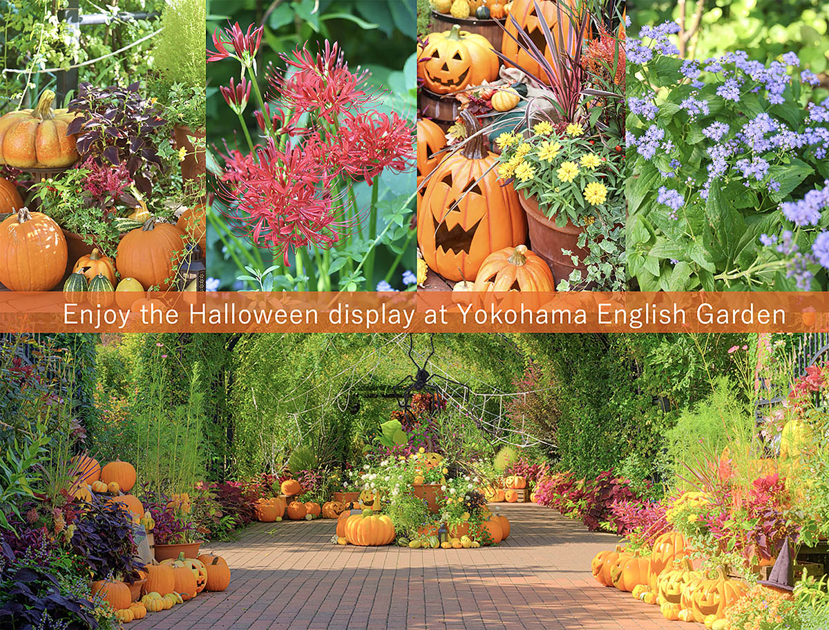 【秋の庭散策】ハロウィン装飾が満載！ フォトジェニックな英国式庭園「横浜イングリッシュガーデン」に出かけよう