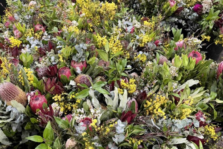 花と植物をめぐる、シドニーの週末マーケット散歩
