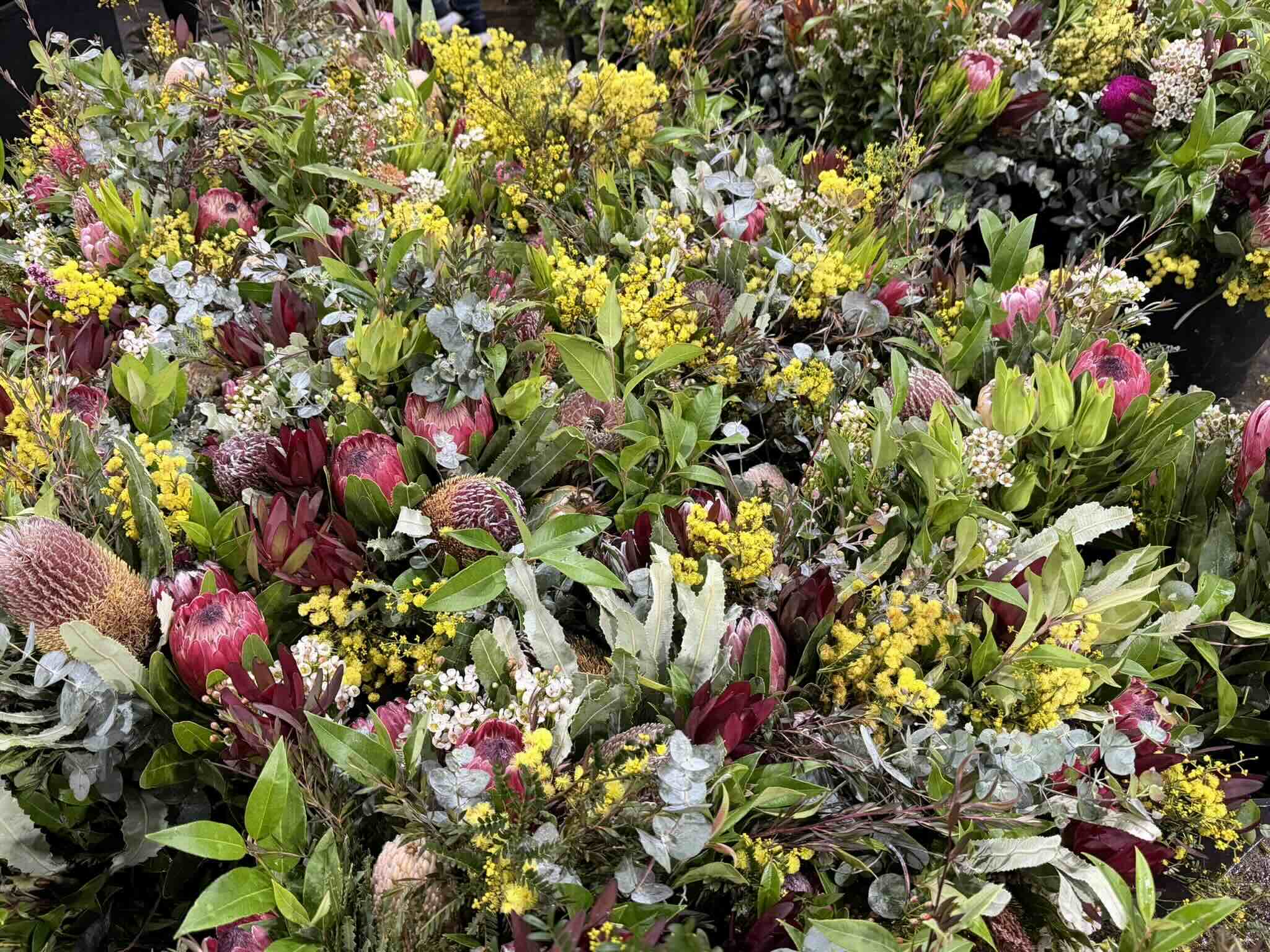 花と植物をめぐる、シドニーの週末マーケット散歩
