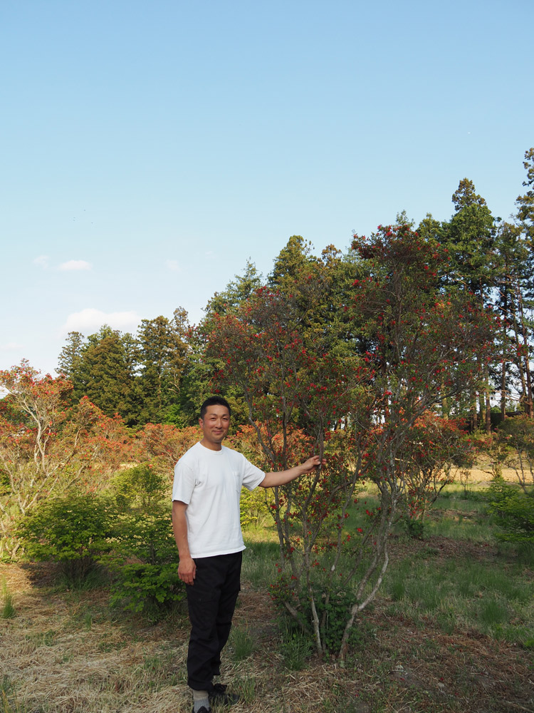 那須緑泉代表の印南壮啓さん。東京農業大学造園科学科を卒業後、神奈川県の植木卸会社で修行し、那須緑泉に戻ってきた。30代前半であった2015年に代表に就任。