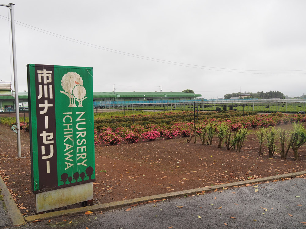 市川ナーセリーの入り口。7haの農地を有している。